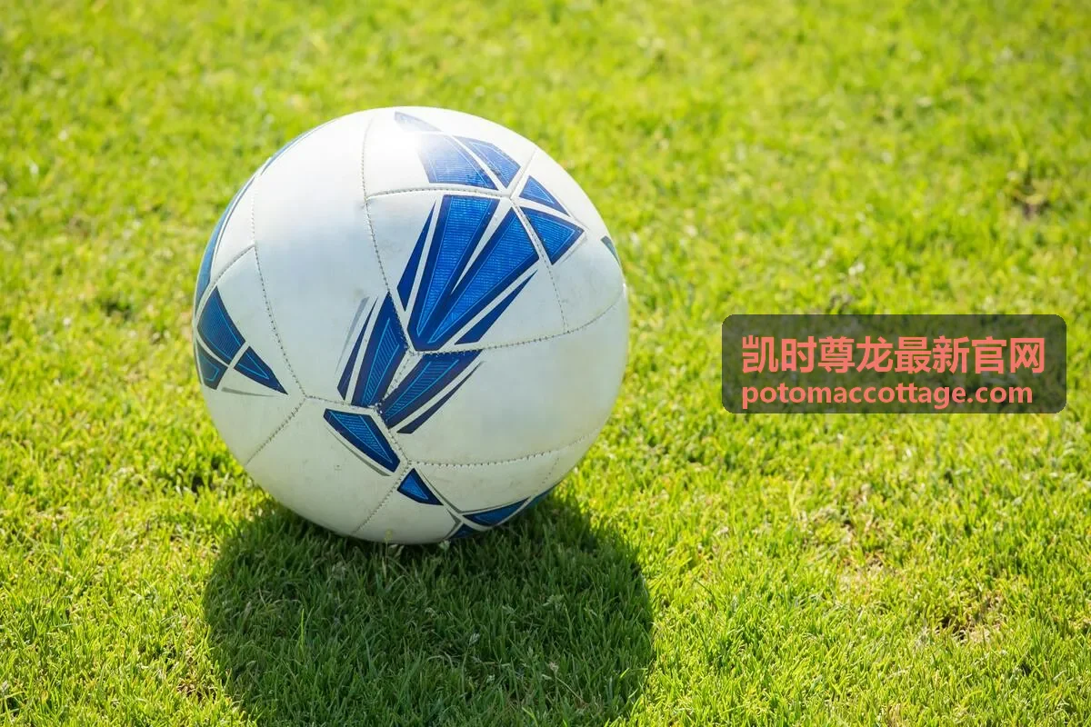 凯时尊龙最新官网更新时段说明配图